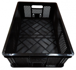 20220211_102657-PhotoRoom (1)